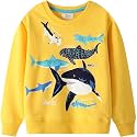Akyzic Toddler Boys Sweatshirts Cotton Crewneck Truck Shirt Dinosaur Long Sleeve Pullover Tops Tees 2-8T