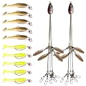 Alabama Rig Kit 2 Sets with Jig Heads and Trailers, Umbrella Rig for Stripers,Bass Fishing