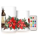 ALAZA Christmas Lantern Red Bird Poinsettia Flowers Flickering Flameless Candles Battery Operated with Remote Timer,Tea Light Candles LED Pillar Votive Candles Set of 2 for Outdoor Indoor Decorations
