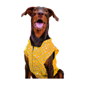 ALCAZAR Dress for Dog