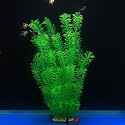 ALEGI 21 Inch Large Aquarium Artificial Plastic Plants Ornaments, Green