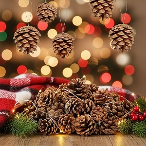 alila 6pc39s natural pinecone ornaments pine cones bulk natural pinecones for fall winter christmas tree bowl fillers  ornaments props  hanging decorations items home office decor 4 inch set of 6