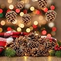 ALILA 6PC's Natural Pinecone Ornaments, Pine Cones Bulk Natural Pinecones for Fall Winter Christmas Tree Bowl Fillers | Ornaments Props | Hanging Decorations Items Home Office Decor, 4 inch, Set of 6