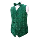 Alizeal Boys 2PCS Classic Pre-Tied Paisley Bow Tie Suit Vest Set