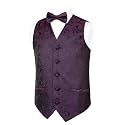Alizeal Boys 2PCS Classic Pre-Tied Paisley Bow Tie Suit Vest Set