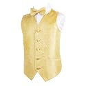 Alizeal Boys 2PCS Classic Pre-Tied Paisley Bow Tie Suit Vest Set