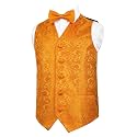 Alizeal Boys 2PCS Classic Pre-Tied Paisley Bow Tie Suit Vest Set