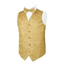 Alizeal Boys 2PCS Classic Pre-Tied Paisley Bow Tie Suit Vest Set