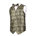 Alizeal Boys 2PCS Classic Pre-Tied Paisley Bow Tie Suit Vest Set