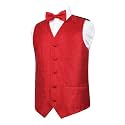 Alizeal Boys 2PCS Classic Pre-Tied Paisley Bow Tie Suit Vest Set
