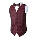 Alizeal Boys 2PCS Classic Pre-Tied Paisley Bow Tie Suit Vest Set