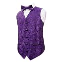 Alizeal Boys 2PCS Classic Pre-Tied Paisley Bow Tie Suit Vest Set