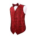 Alizeal Boys 2PCS Classic Pre-Tied Paisley Bow Tie Suit Vest Set
