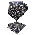 Alizeal Mens 3.15'' Floral Tie with Pocket Square