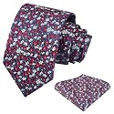 Alizeal Mens 3.15'' Floral Tie with Pocket Square