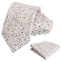 Alizeal Mens 3.15'' Floral Tie with Pocket Square