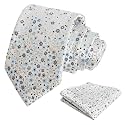 Alizeal Mens 3.15'' Floral Tie with Pocket Square
