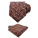 Alizeal Mens 3.15'' Floral Tie with Pocket Square