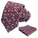 Alizeal Mens 3.15'' Floral Tie with Pocket Square