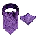 Alizeal Mens Self-tied Cravat Tie Ascot and Pocket Square Set