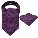 Alizeal Mens Self-tied Cravat Tie Ascot and Pocket Square Set