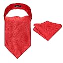 Alizeal Mens Self-tied Cravat Tie Ascot and Pocket Square Set