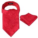 Alizeal Mens Self-tied Cravat Tie Ascot and Pocket Square Set