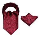 Alizeal Mens Self-tied Cravat Tie Ascot and Pocket Square Set