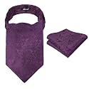 Alizeal Mens Self-tied Cravat Tie Ascot and Pocket Square Set
