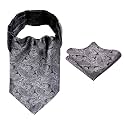 Alizeal Mens Self-tied Cravat Tie Ascot and Pocket Square Set