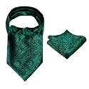 Alizeal Mens Self-tied Cravat Tie Ascot and Pocket Square Set