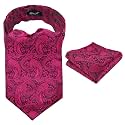 Alizeal Mens Self-tied Cravat Tie Ascot and Pocket Square Set
