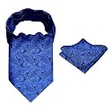 Alizeal Mens Self-tied Cravat Tie Ascot and Pocket Square Set