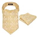 Alizeal Mens Self-tied Cravat Tie Ascot and Pocket Square Set