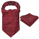 Alizeal Mens Self-tied Cravat Tie Ascot and Pocket Square Set