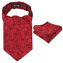 Alizeal Mens Self-tied Cravat Tie Ascot and Pocket Square Set