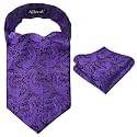 Alizeal Mens Self-tied Cravat Tie Ascot and Pocket Square Set