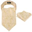 Alizeal Mens Self-tied Cravat Tie Ascot and Pocket Square Set