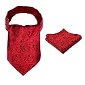 Alizeal Mens Self-tied Cravat Tie Ascot and Pocket Square Set