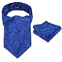 Alizeal Mens Self-tied Cravat Tie Ascot and Pocket Square Set