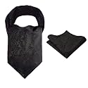 Alizeal Mens Self-tied Cravat Tie Ascot and Pocket Square Set