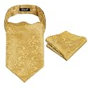 Alizeal Mens Self-tied Cravat Tie Ascot and Pocket Square Set