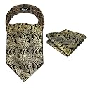 Alizeal Mens Self-tied Cravat Tie Ascot and Pocket Square Set