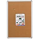 ALKOSIGN Astra Felt Notice/Bulletin Board Portrait Beige (8 x 4 Feet)