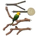 4 PCS Natural Wood Bird Perch Stand, Bird Parrot Perch Stand Set, Wooden Parrot Perch Stand Perch Platform Cage Accessories for Parrotlets Cockatiels Budgies Parakeets