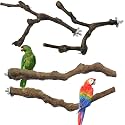 4PCS Bird Perch Natural Grape Stick Bird Standing Stick Grapevine