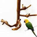 Natural Parrot Perch Bird Stand Branch Wild Grape Stick Paw Grinding Branch Parakeet Climbing Standing Branches Toy Chewable Cage Accessories for Small Lovebirds Budgies Cockatiels