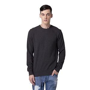 allen cooper solid sweater for men