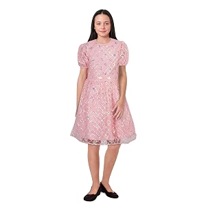 Allen Solly Girls Polyester A-Line Knee-Length Dress