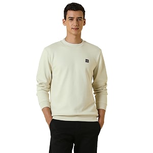 Allen Solly Mens Regular Fit Solid Crew